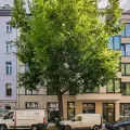 Straßenansicht des Neubaus